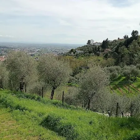 بيت للعطل Casa Di Barignano بيسيا