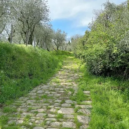 Casa Di Barignano * بيسيا